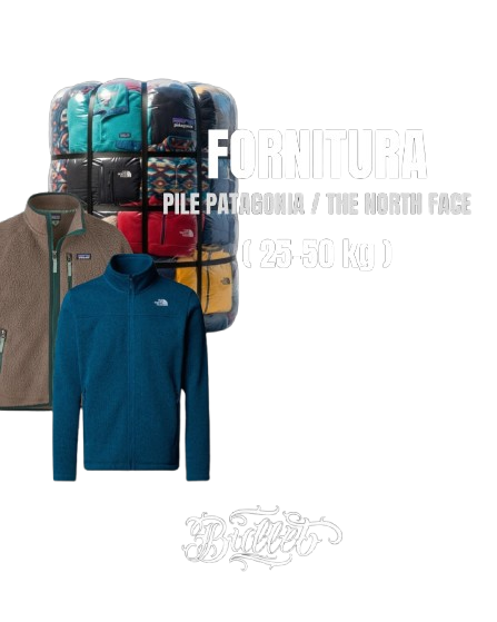 pile patagonia the north face