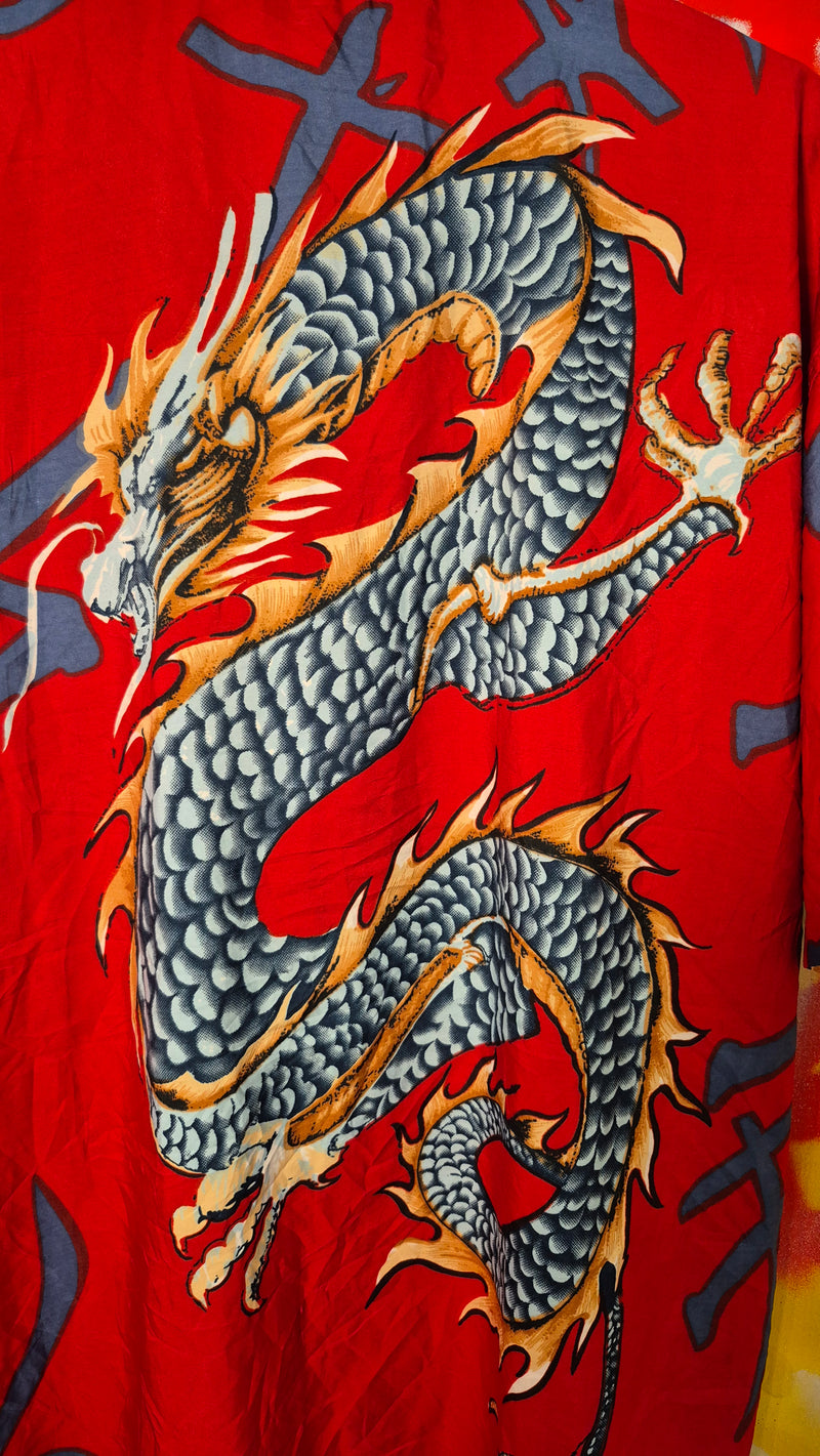 Camicia anime e dragon