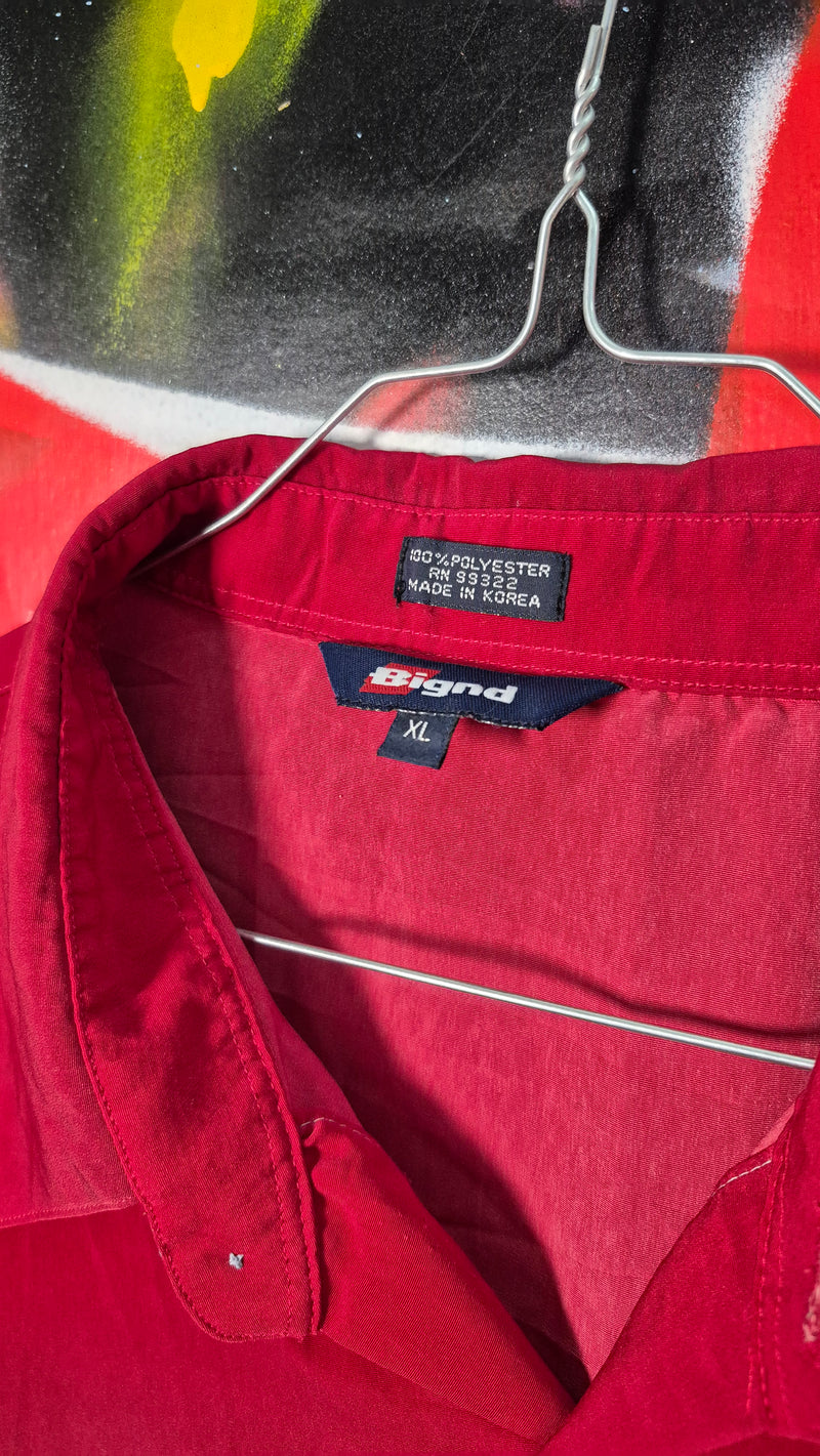 Camicia anime e dragon