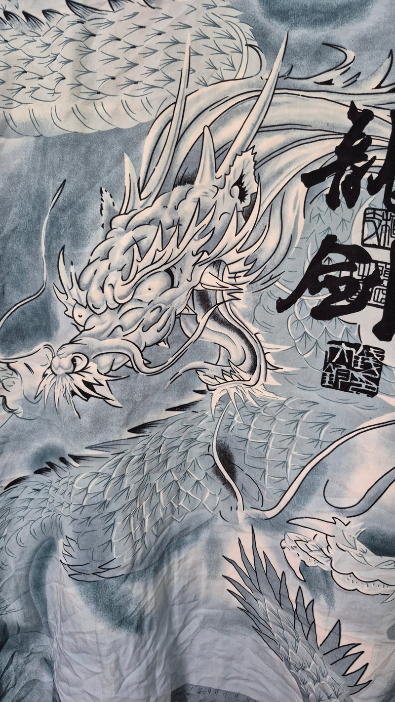 Camicia anime e dragon