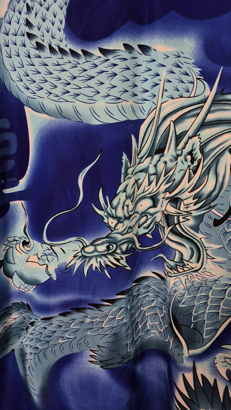 Camicia anime e dragon